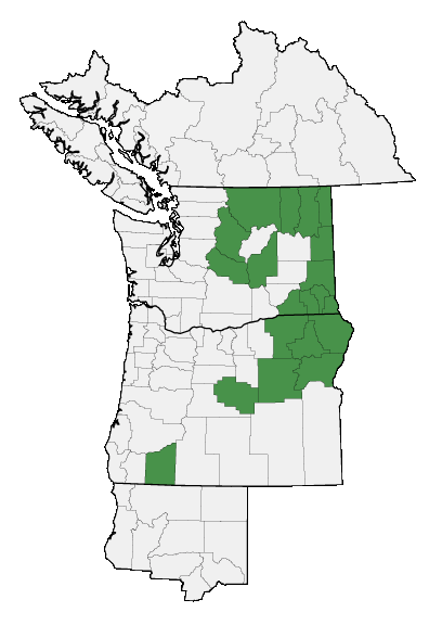 Map of where plant is found