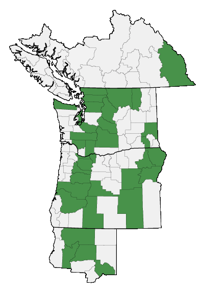 Map of where plant is found