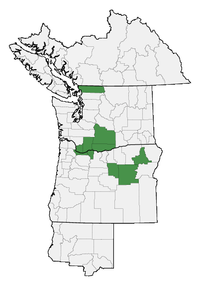 Map of where plant is found