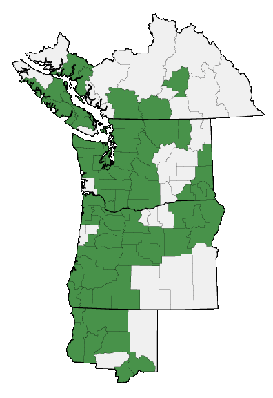 Map of where plant is found