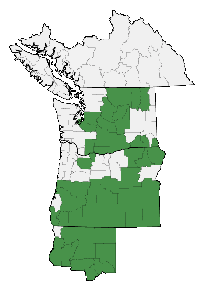 Map of where plant is found