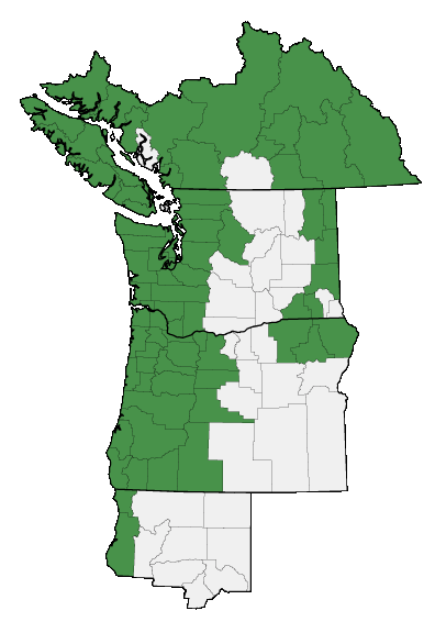 Map of where plant is found