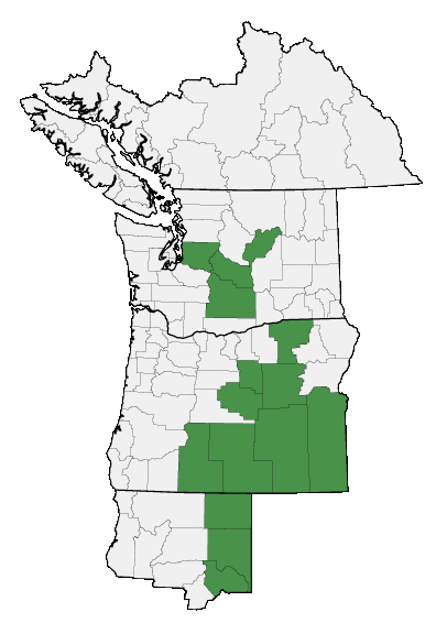 Map of where plant is found