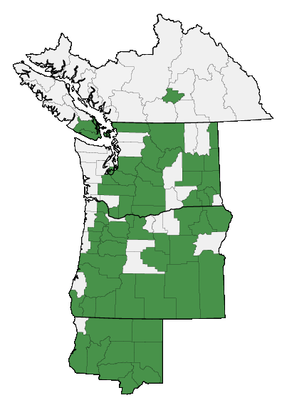 Map of where plant is found