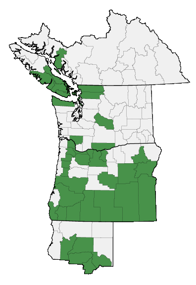 Map of where plant is found