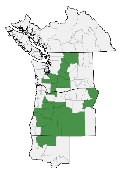 Map of where plant is found