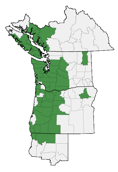 Map of where plant is found