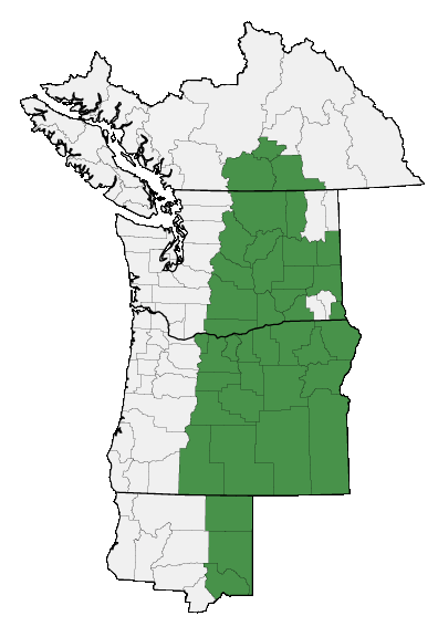 Map of where plant is found