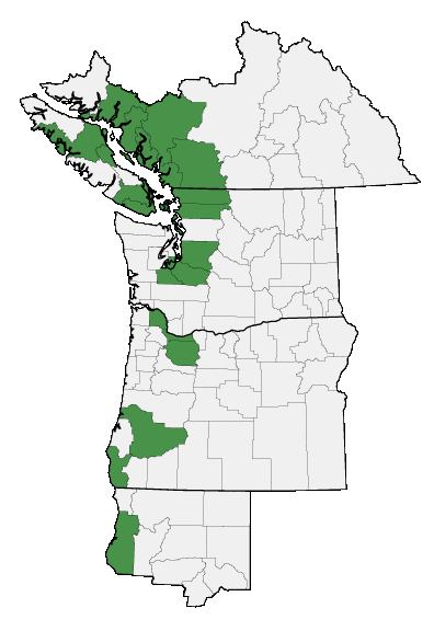 Map of where plant is found