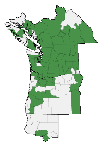 Map of where plant is found