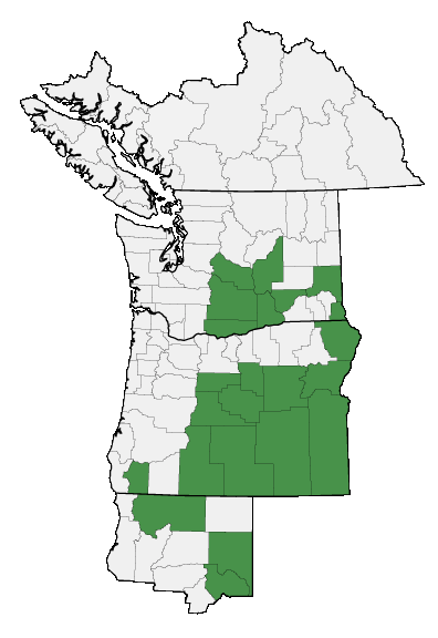 Map of where plant is found