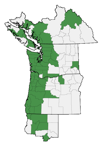 Map of where plant is found