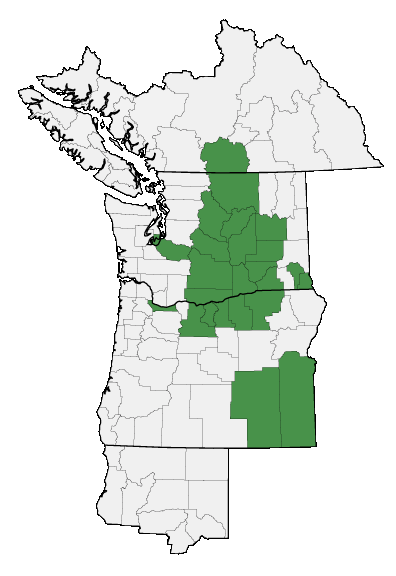 Map of where plant is found