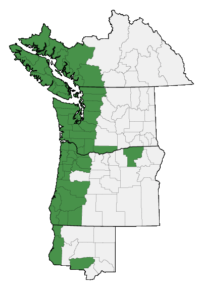 Map of where plant is found