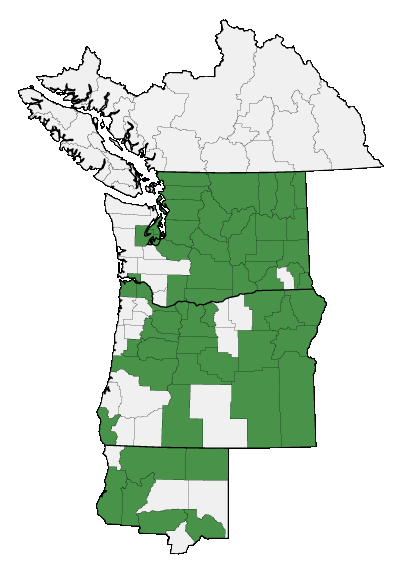 Map of where plant is found