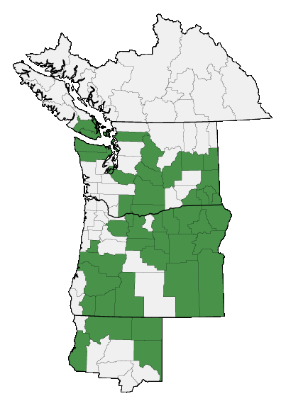 Map of where plant is found