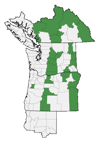 Map of where plant is found