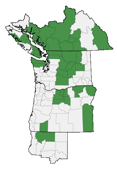 Map of where plant is found