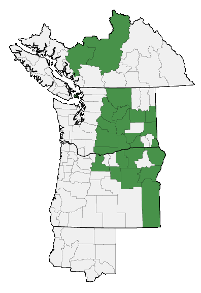 Map of where plant is found