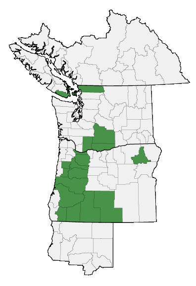 Map of where plant is found