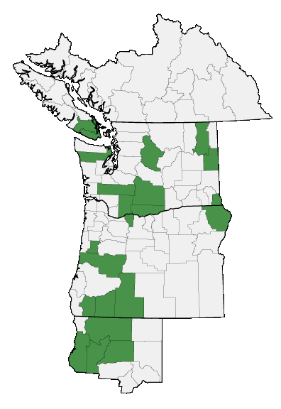 Map of where plant is found
