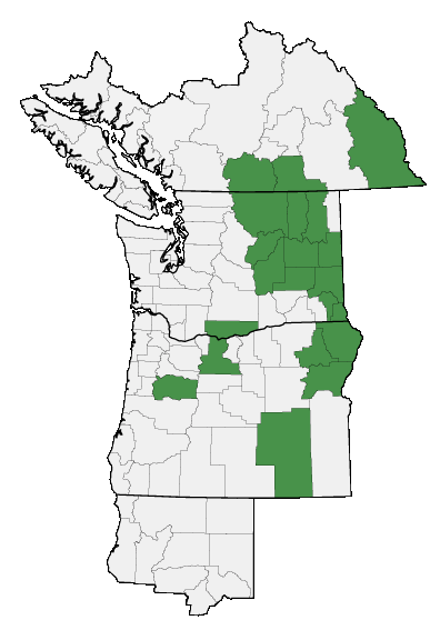 Map of where plant is found