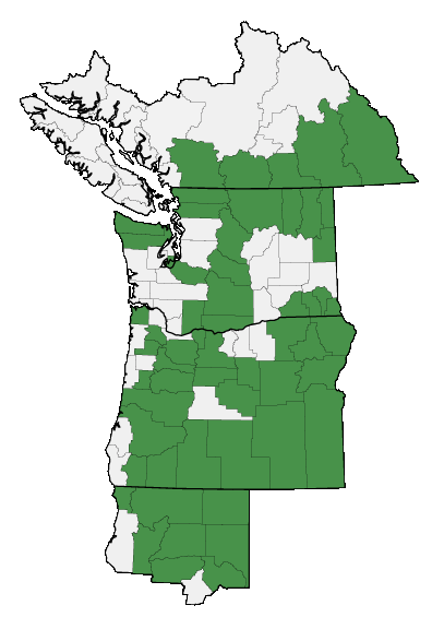 Map of where plant is found