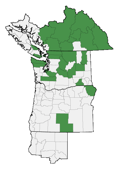 Map of where plant is found