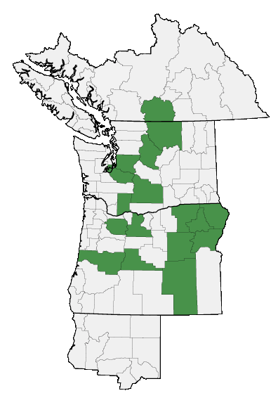 Map of where plant is found