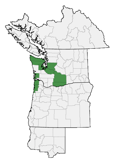 Map of where plant is found