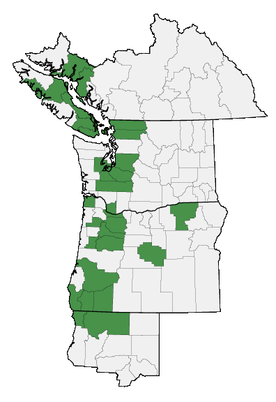 Map of where plant is found