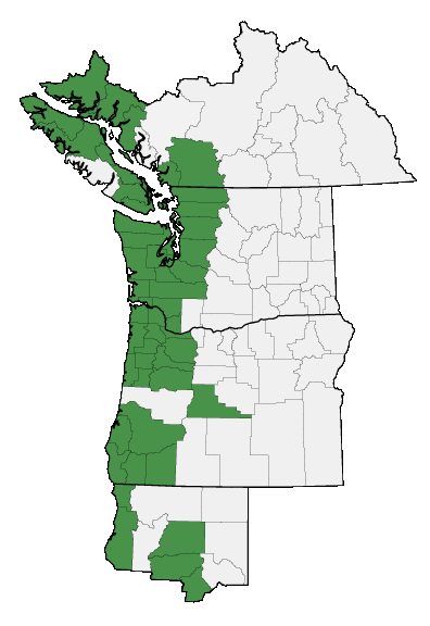 Map of where plant is found