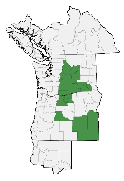 Map of where plant is found