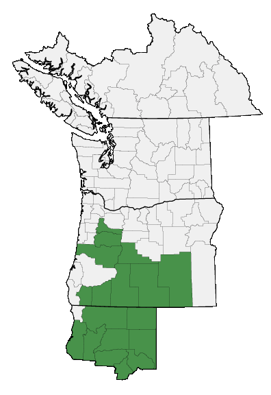 Map of where plant is found