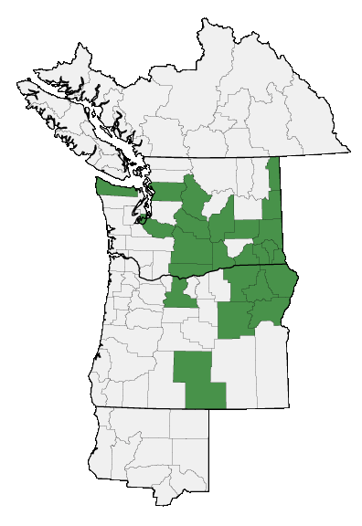 Map of where plant is found