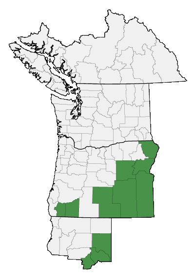 Map of where plant is found