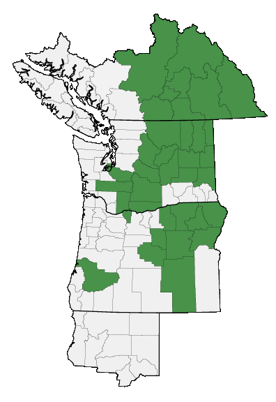 Map of where plant is found