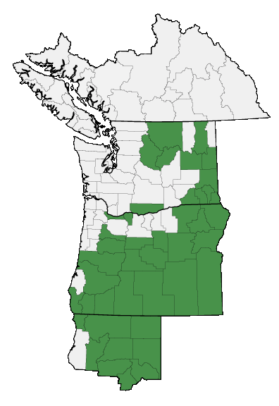 Map of where plant is found