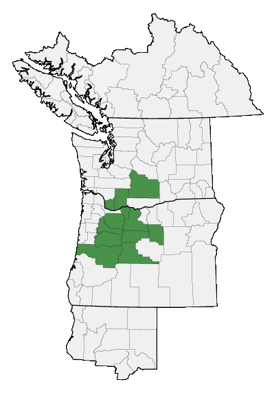 Map of where plant is found