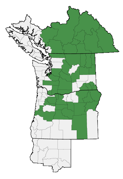 Map of where plant is found