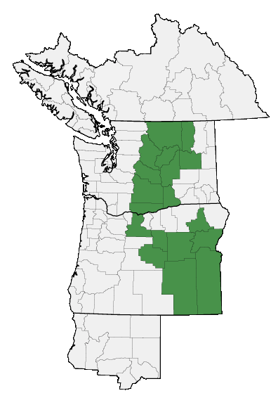 Map of where plant is found