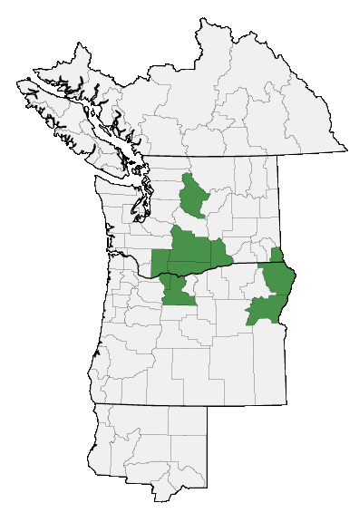 Map of where plant is found