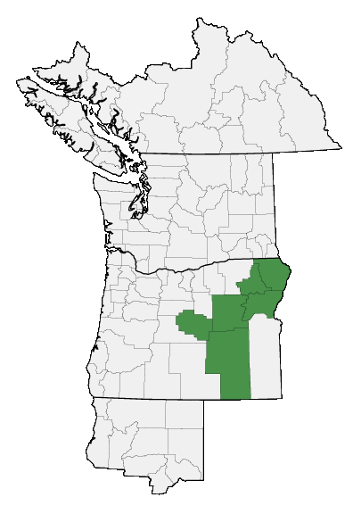 Map of where plant is found