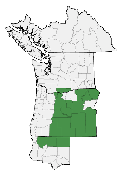 Map of where plant is found