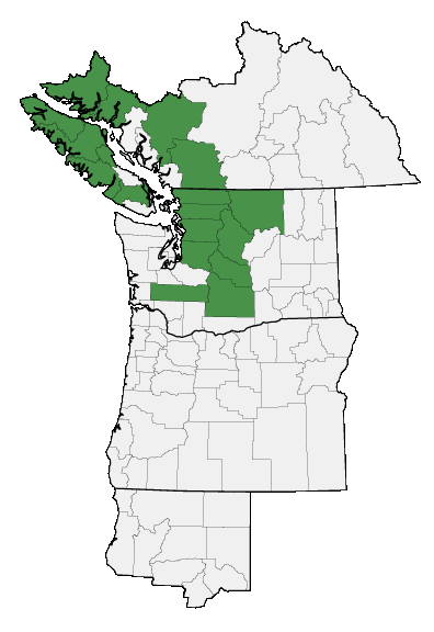 Map of where plant is found