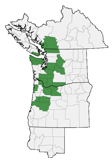 Map of where plant is found