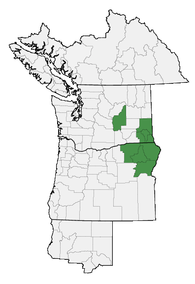 Map of where plant is found