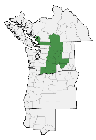 Map of where plant is found