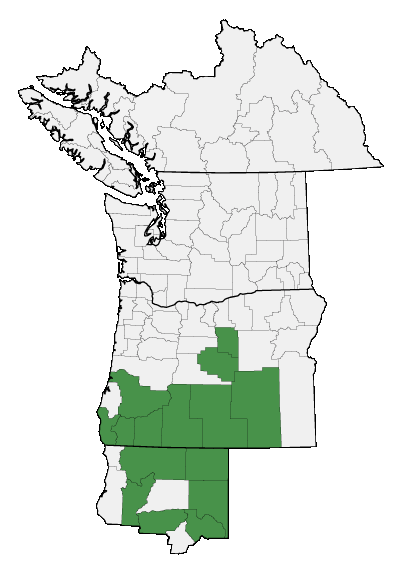 Map of where plant is found