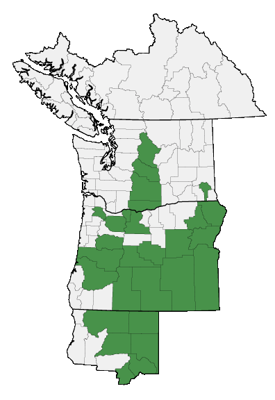 Map of where plant is found